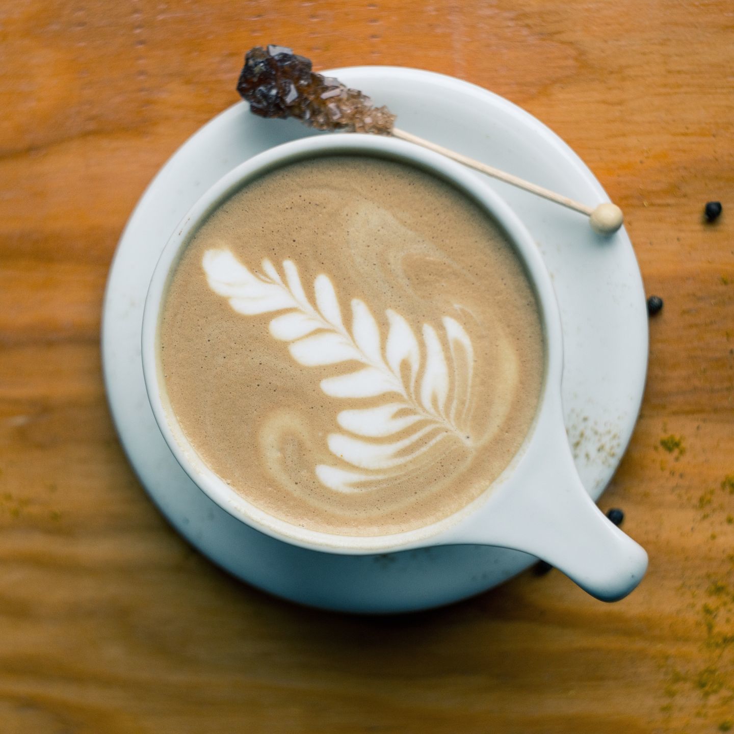 Fluid Coffee Bar